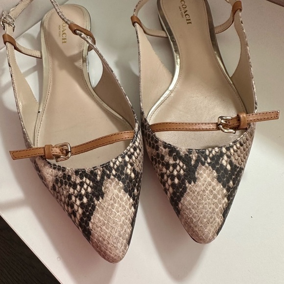Coach snakeskin sandals size 8B - Picture 7 of 7
